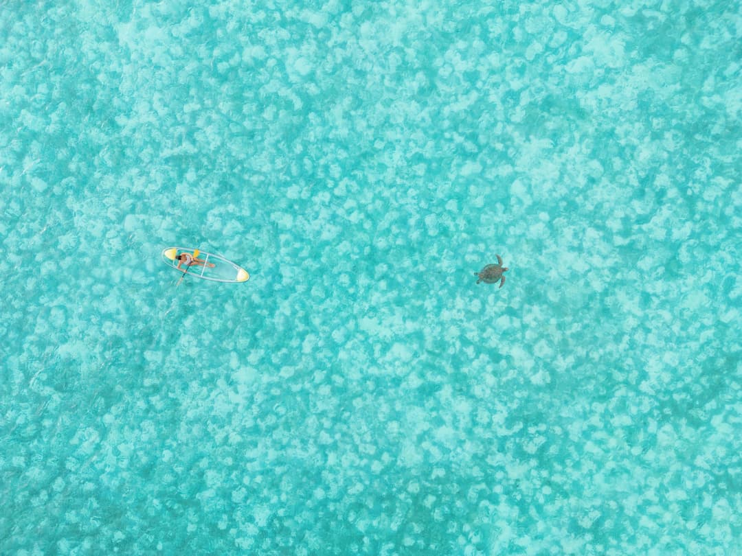 Beach at Cheval Blanc Randheli, Raa Atoll