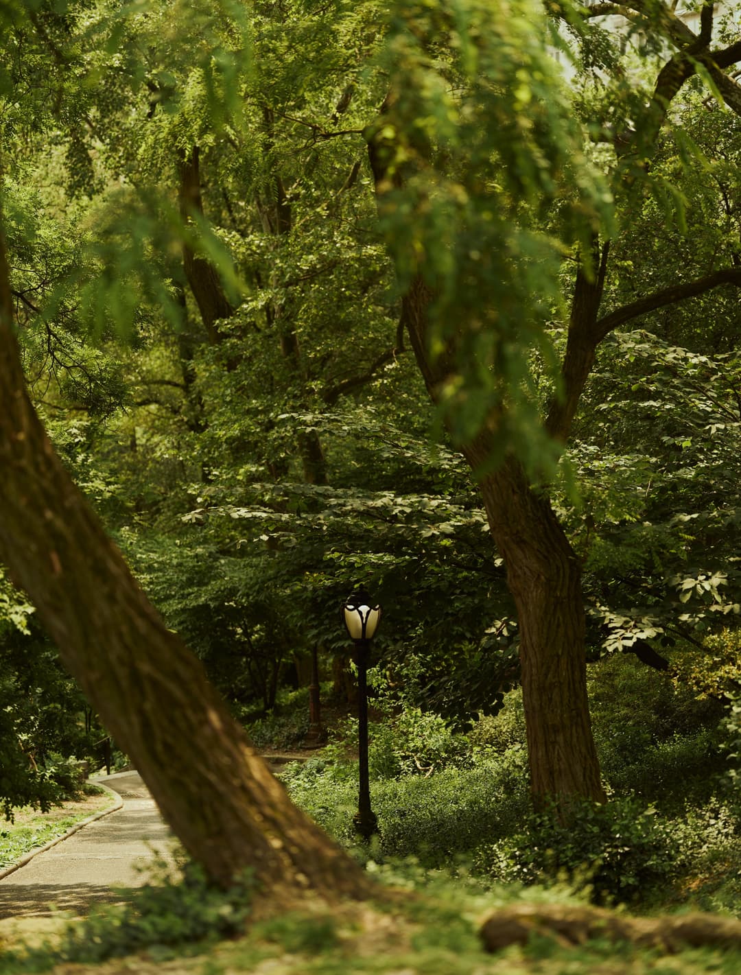 A vintage street lamp beneath towering trees in Aman New York's verdant gardens.