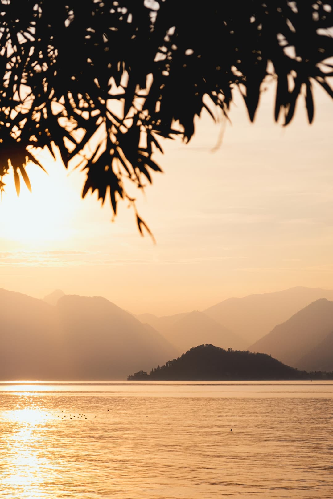 View from Passalacqua, Moltrasio