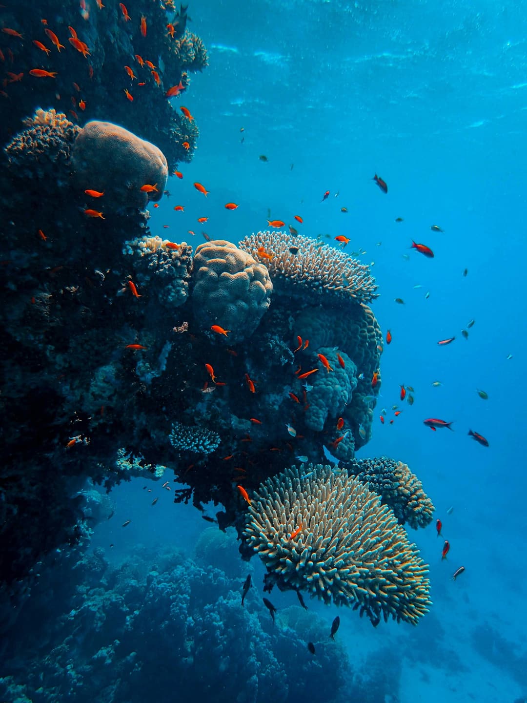 Interior detail at Patina Maldives, Fari Islands, North Male Atoll (Fari Islands)