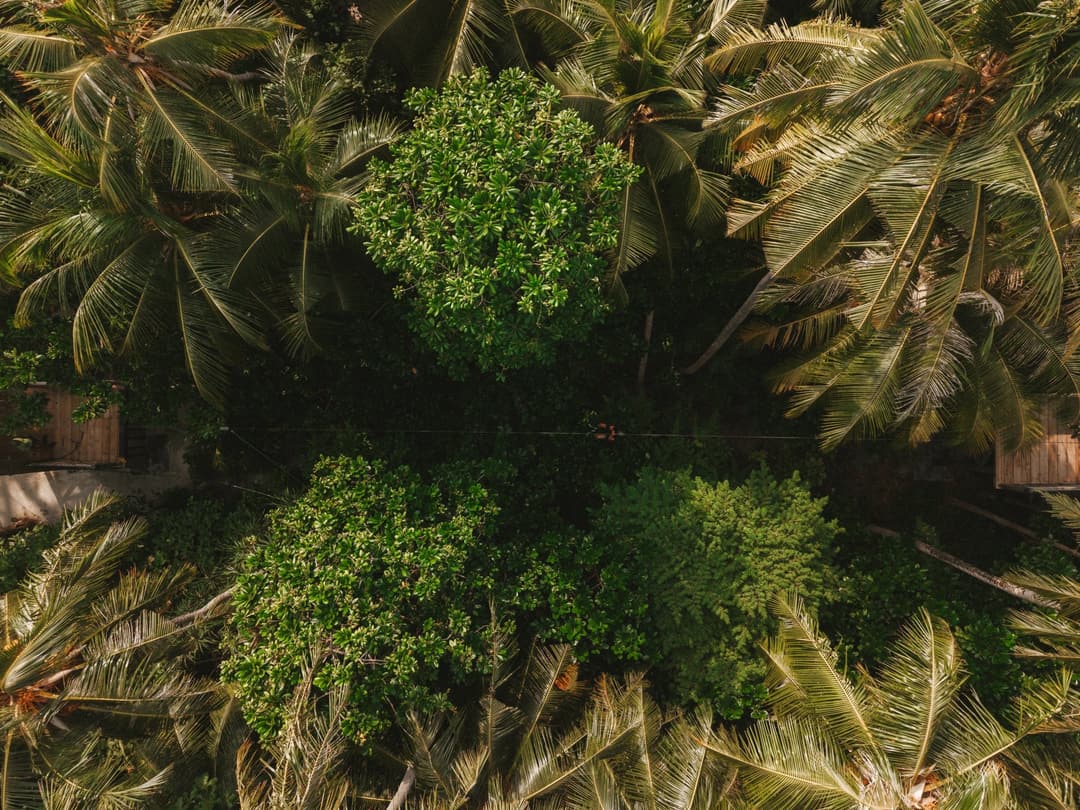 Gardens at Soneva Fushi, Baa Atoll