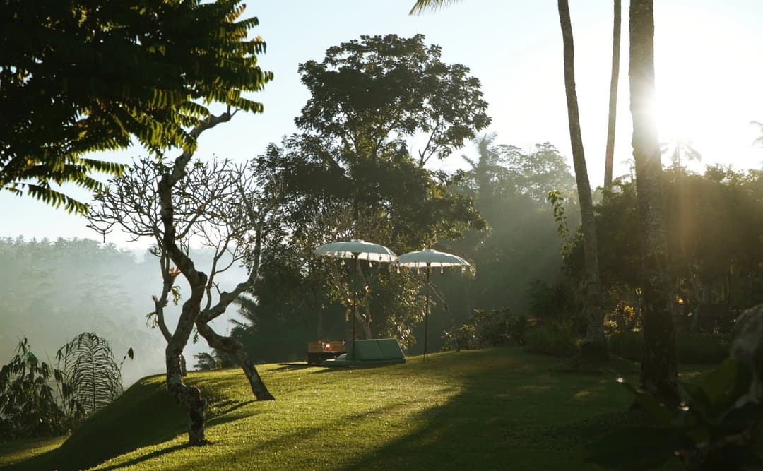 Morning light illuminates the Ubud Valley trails at Amandari, with tropical vegetation and misty hills beyond