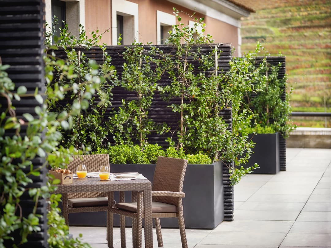 A table and chairs are arranged for breakfast with juice and food, surrounded by green plants and privacy screens next to a building, Six Senses Douro