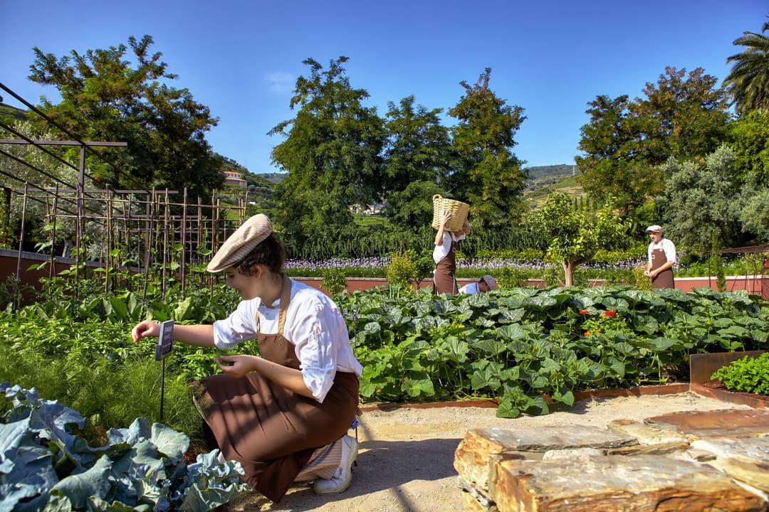 Gardens at Six Senses Douro Valley, Douro Valley (Lamego)