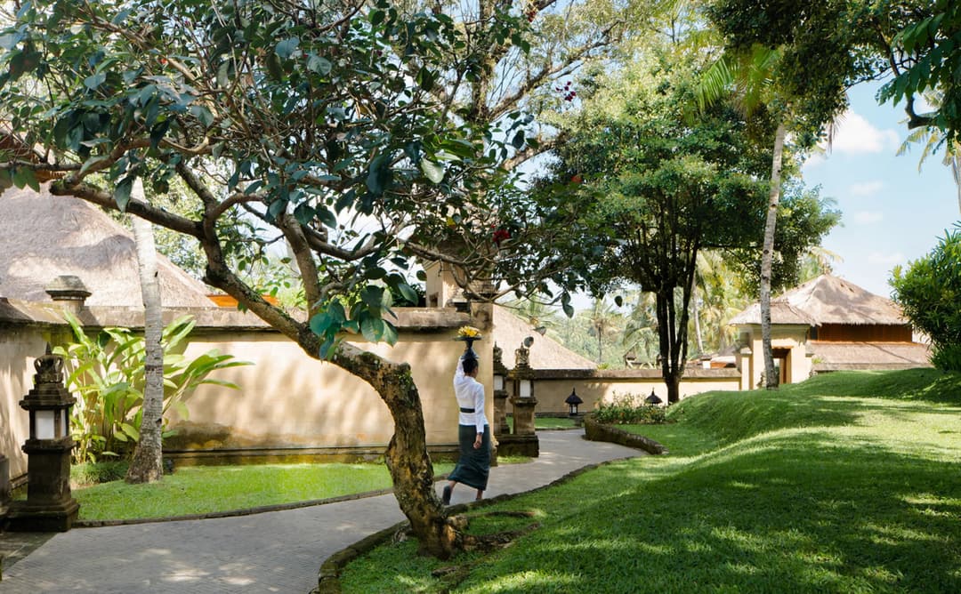 Amandari's wellness grounds with mature trees, manicured lawns and traditional architecture, Ubud (Kedewatan)