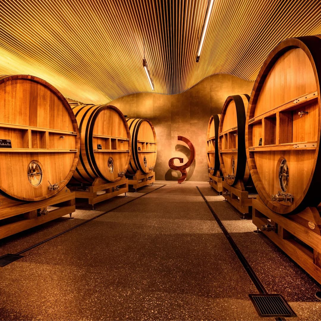 A row of large wine barrels in an underground cellar, The Connaught, Mayfair