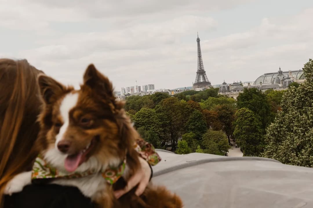 Paris near Hotel de Crillon, A Rosewood Hotel