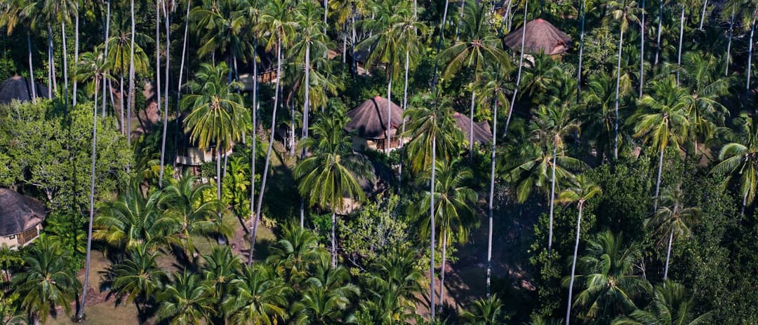 Pavilions beneath coconut palms at Rayavadee, Krabi